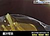 姜汁可乐的做法