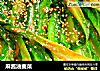 麻酱油麦菜的做法