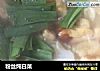 粉丝炖白菜的做法