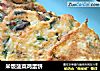 米饭菠菜鸡蛋饼的做法