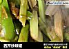 西芹炒辣椒的做法