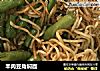 羊肉豆角焖面的做法