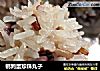 鹌鹑蛋珍珠丸子的做法