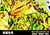 麻酱生菜的做法