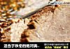 适合于秋冬的绝对美食-----------------五香酱牛肉的做法