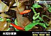 木耳炒莴笋的做法