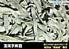 菠菜手擀面的做法