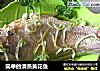 简单的清蒸黄花鱼的做法