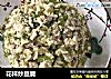 花样炒豆腐的做法