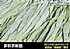 多彩手擀面的做法