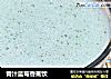 青汁蓝莓香蕉饮的做法