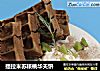 提拉米苏核桃华夫饼的做法