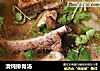 清炖排骨汤的做法