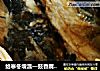 给寒冬增温—豉香腐竹鱼头煲的做法