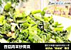 香菇肉末炒青菜的做法
