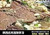 陕西名吃泡馍学习的做法