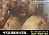今天去菜市场找不到买的，买了几个鸡腿回来做着吃，没想到鸡腿这样做好吃而不腻。的做法