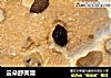 云朵舒芙蕾的做法