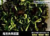 马兰头拌皮蛋的做法
