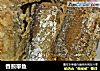 香煎带鱼的做法