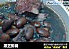 黑豆排骨的做法