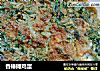 香椿摊鸡蛋的做法