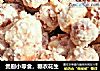 煲剧小零食，糖衣花生的做法