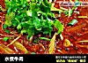 水煮牛肉的做法