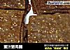 蜜汁猪肉脯的做法