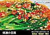 蚝油小白菜的做法