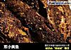 煎小黄鱼的做法