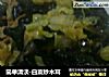 简单清淡-白菜炒木耳的做法