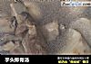 芋头排骨汤的做法
