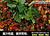 酱汁鸡蛋的做法