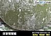 抹茶雪媚娘的做法