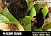 牛肉滑炒黑白绿的做法