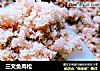 三文鱼肉松的做法
