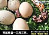 荠菜煮蛋—三月三荠菜赛灵丹的做法