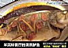 米其林餐厅的清蒸鲈鱼的做法