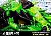 小白菜炒木耳的做法