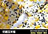 奶酪玉米烙的做法
