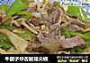 牛腱子炒杏鲍菇尖椒的做法