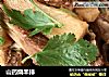 山药烧羊排的做法