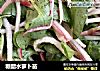 糖醋水萝卜苗的做法