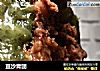 豆沙青团的做法