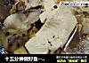 十五分钟做好鱼--鲜香泡椒豆腐鱼的做法