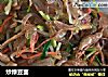 炒绿豆面的做法