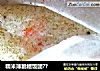 糯米薄脆糍饭团??的做法