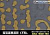 宝宝蛋黄溶豆（不粘锅版+烤箱版）的做法