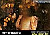 绿豆龙骨海带汤的做法